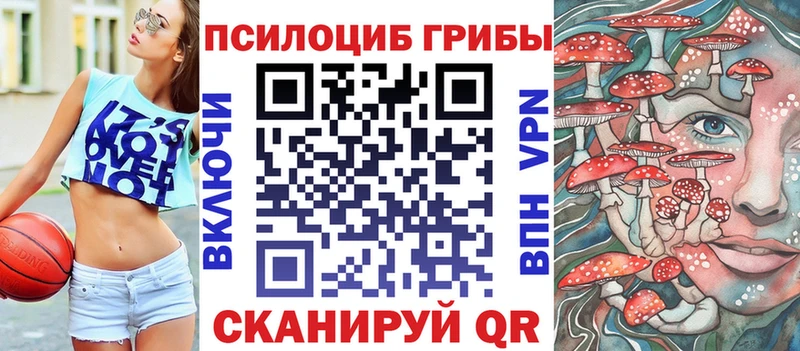 Купить где  Заринск  Галлюциногенные грибы ЛСД 